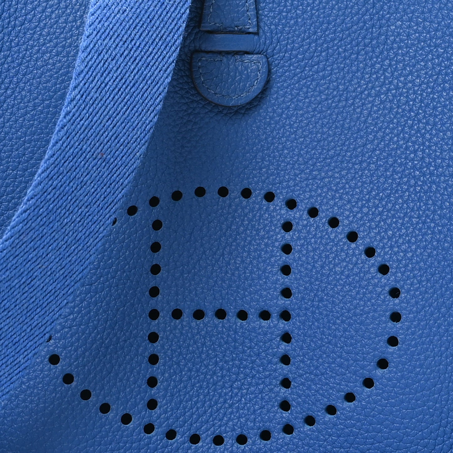 Taurillon Maurice Amazone Evelyne TPM Bleu France