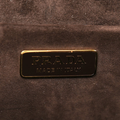 Prada Velluto Lions Head Cahier Shoulder Bag Ambra 6 of 10