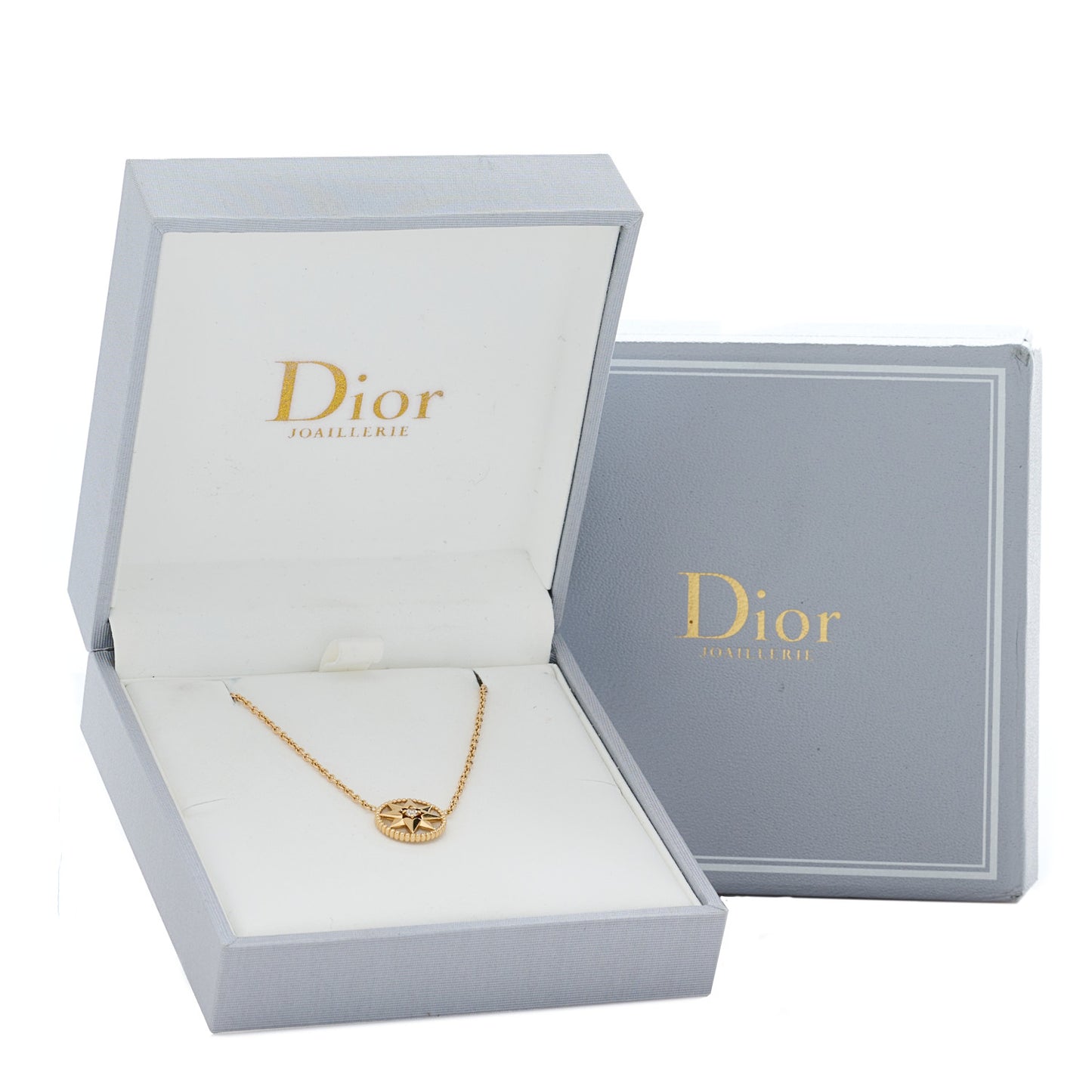 18K Rose Gold Diamond Mother of Pearl Rose Des Vents Necklace