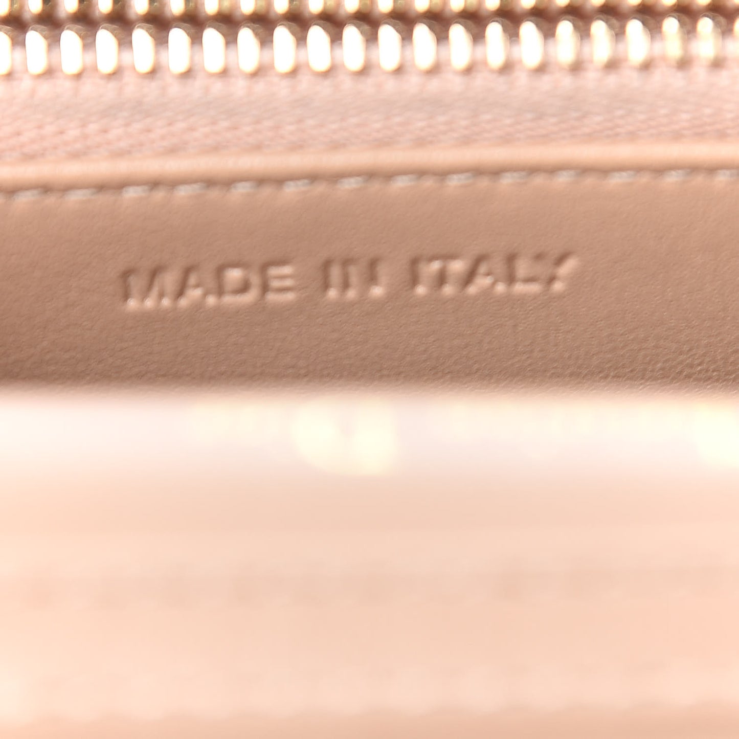 Grained Calfskin Diorama Wallet on Chain Pouch Nude