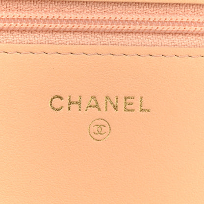 Chanel Candy Cotton Tweed & Beach Ball Wallet On Chain WOC Multicolor 6 of 14