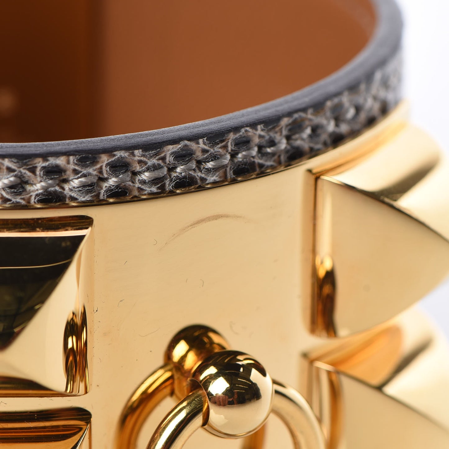 Lizard Collier De Chien CDC Bracelet S Ombre