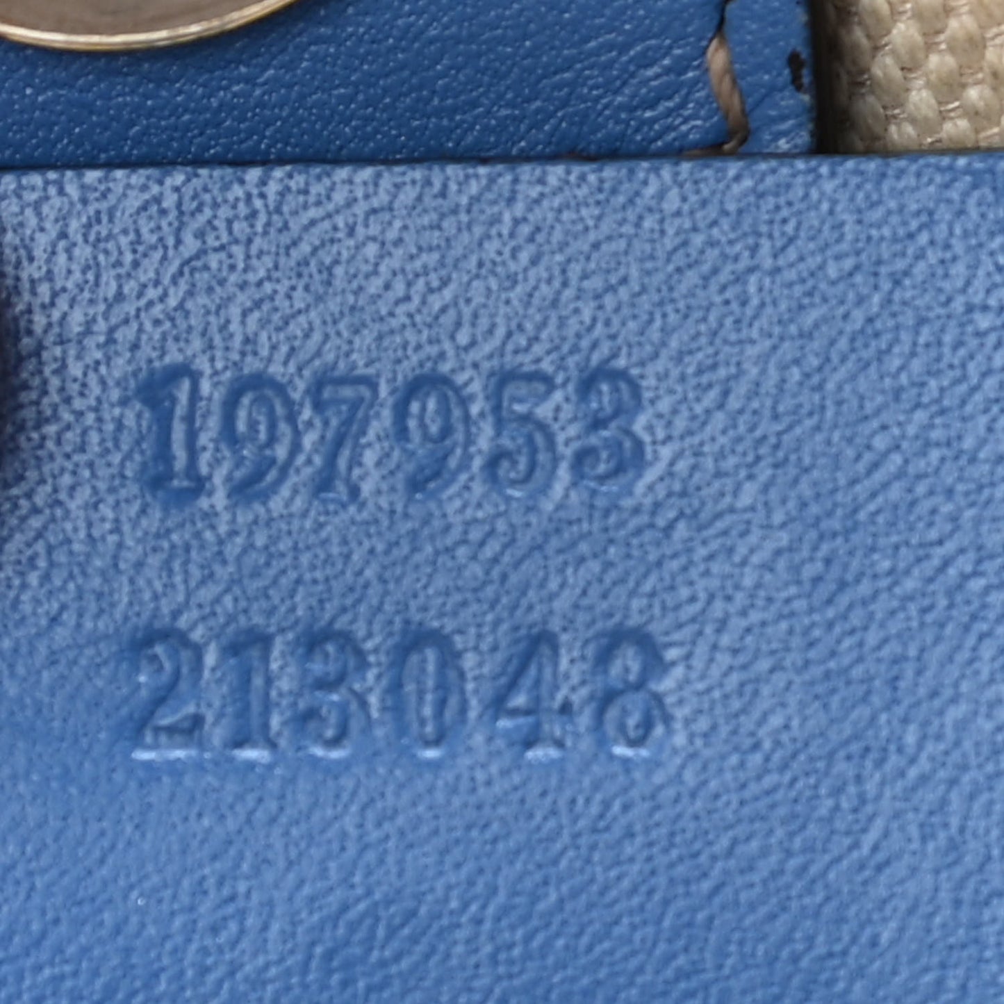 GG Plus Monogram Medium Joy Tote Light Blue