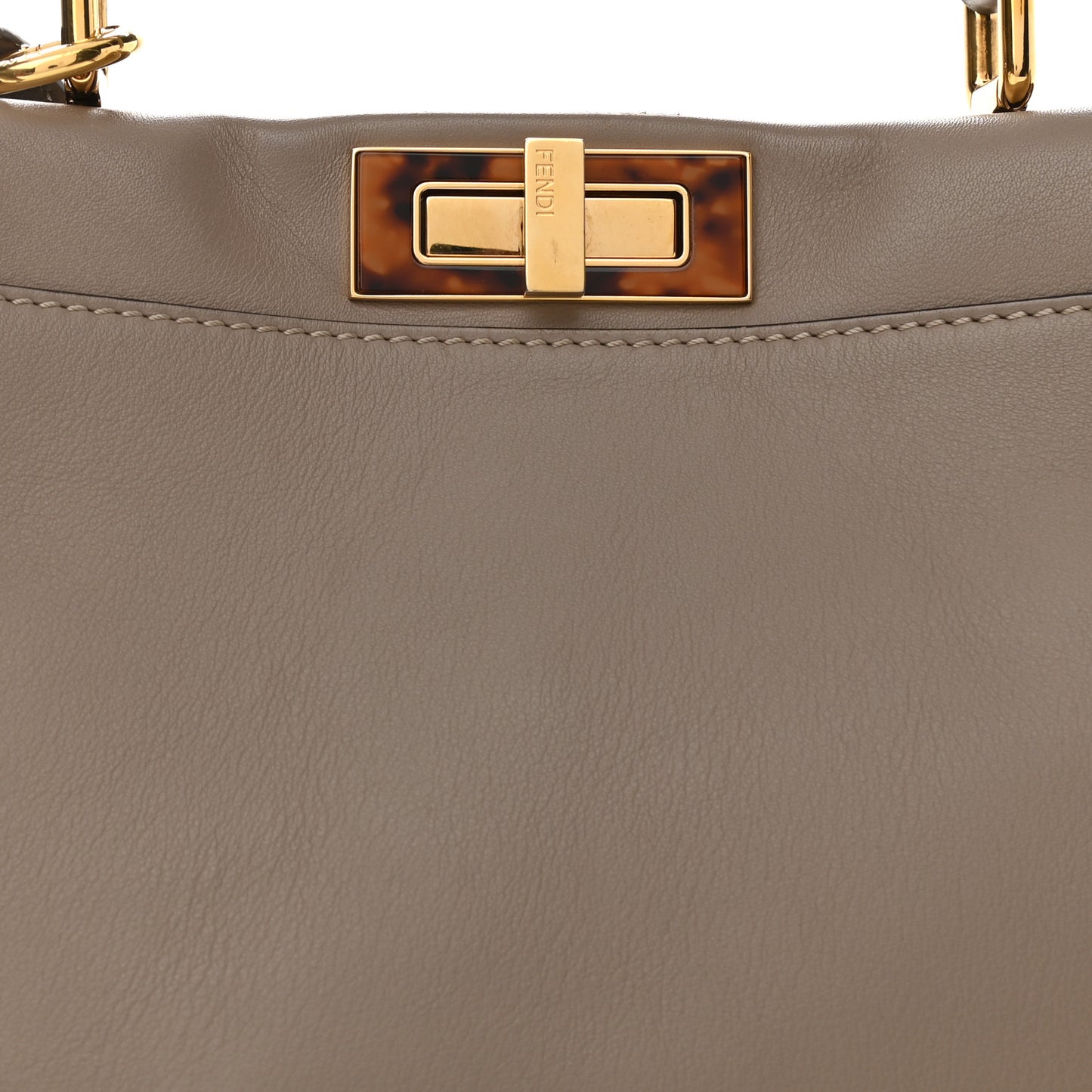 Vitello Seta Plexiglass Tortoise Medium Peekaboo Iconic Satchel Tortora