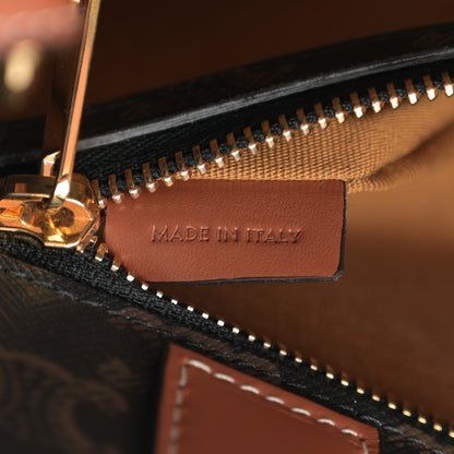 Celine Triomphe Canvas Calfskin Small Vertical Cabas Tan 6 of 9