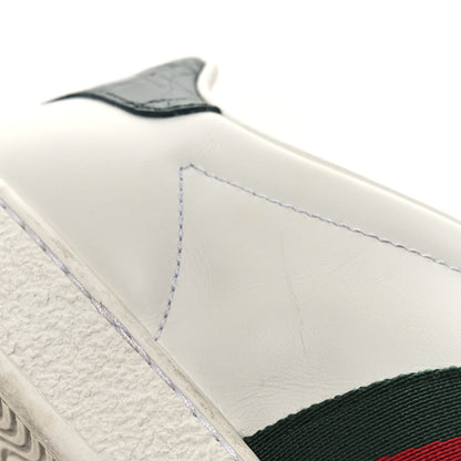 Gucci Calfskin Crocodile Web Womens Ace Sneakers 36 White Green 12 of 14