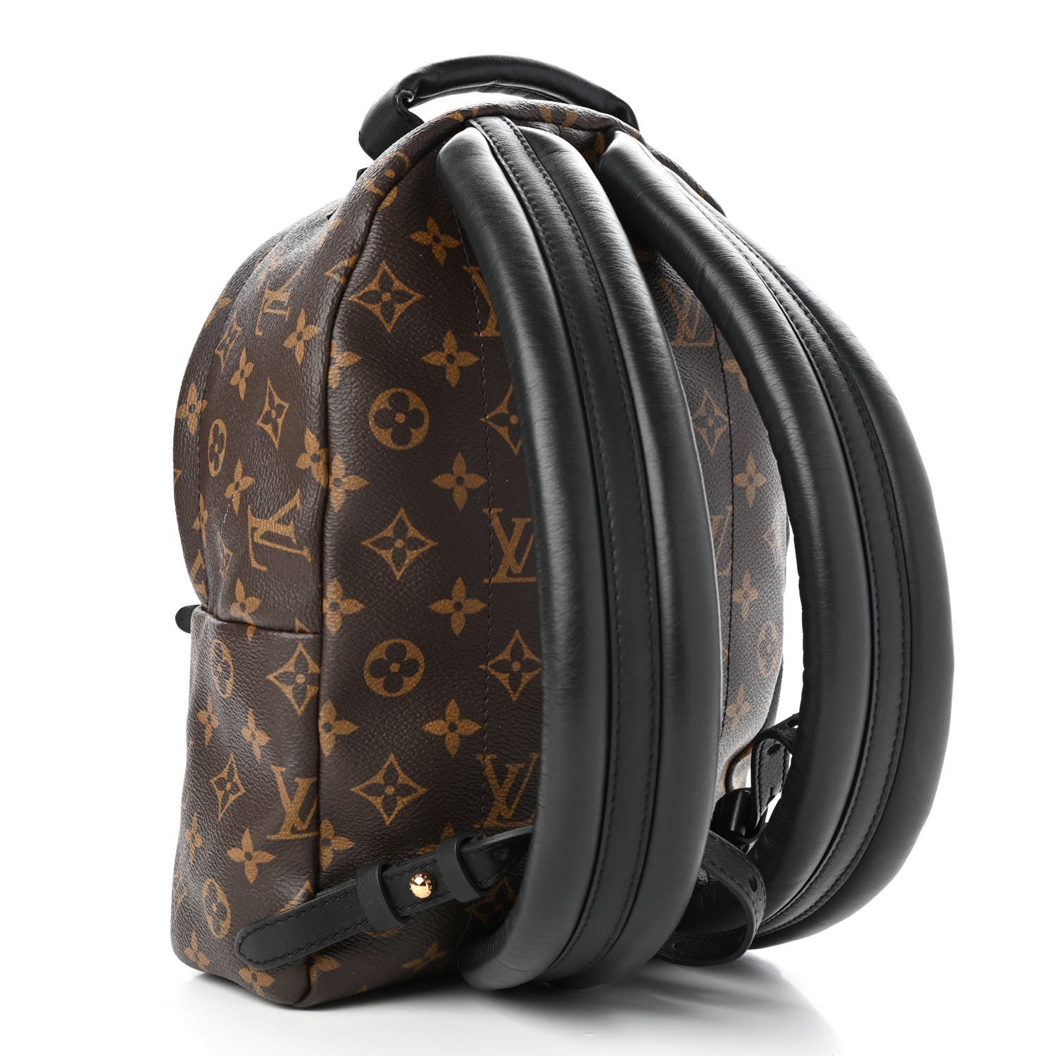Louis Vuitton Monogram Palm Springs Backpack PM 3 of 5