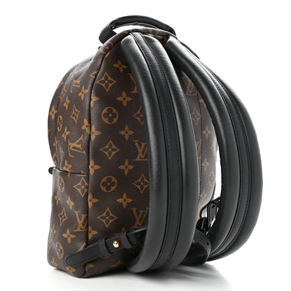 Louis Vuitton Monogram Palm Springs Backpack PM 2 of 11