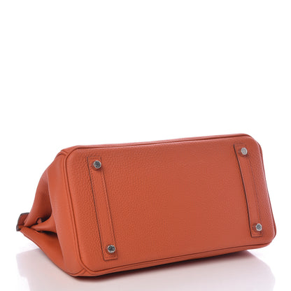 Hermes Togo Birkin 30 Terre Battue 4 of 14
