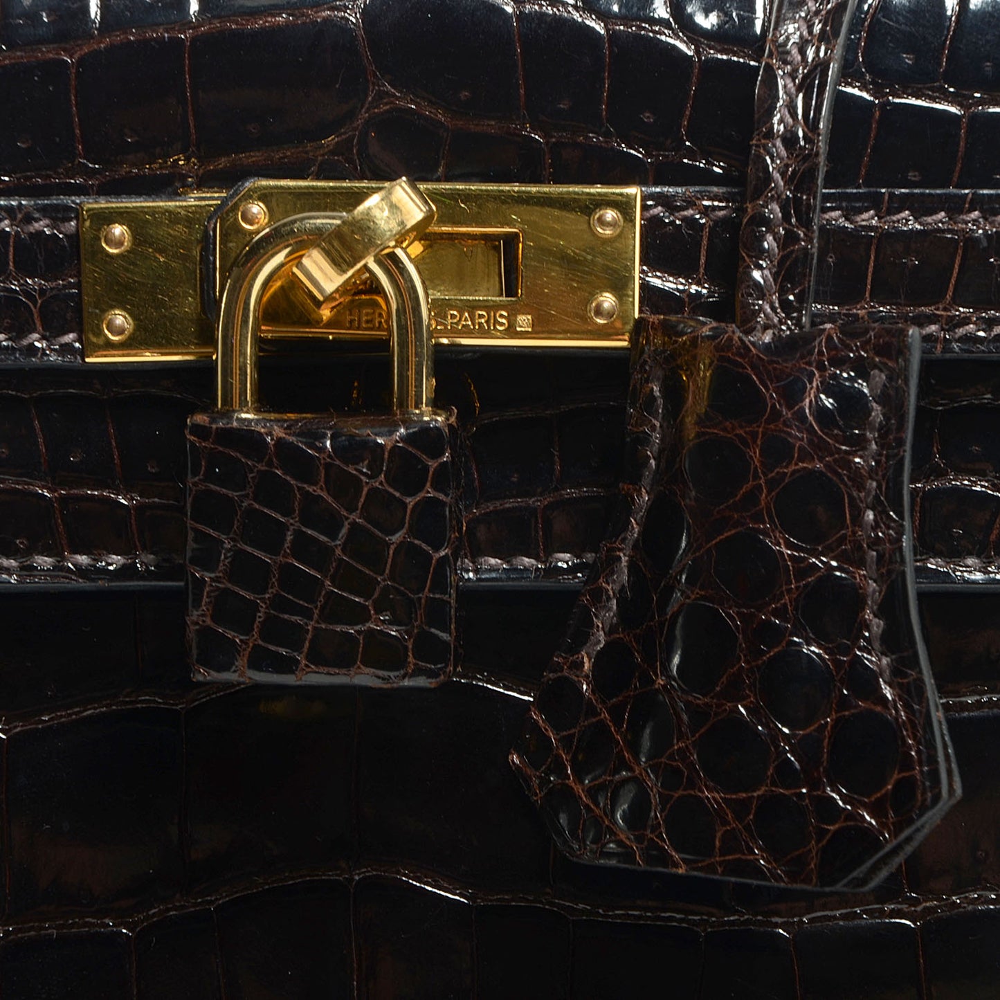 Shiny Porosus Crocodile Kelly Sellier 25 Cocoan