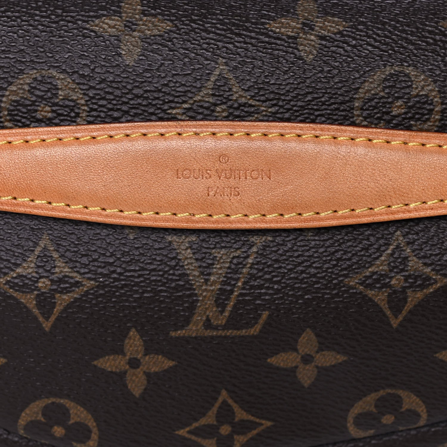 Louis Vuitton Monogram Bumbag 8 of 12