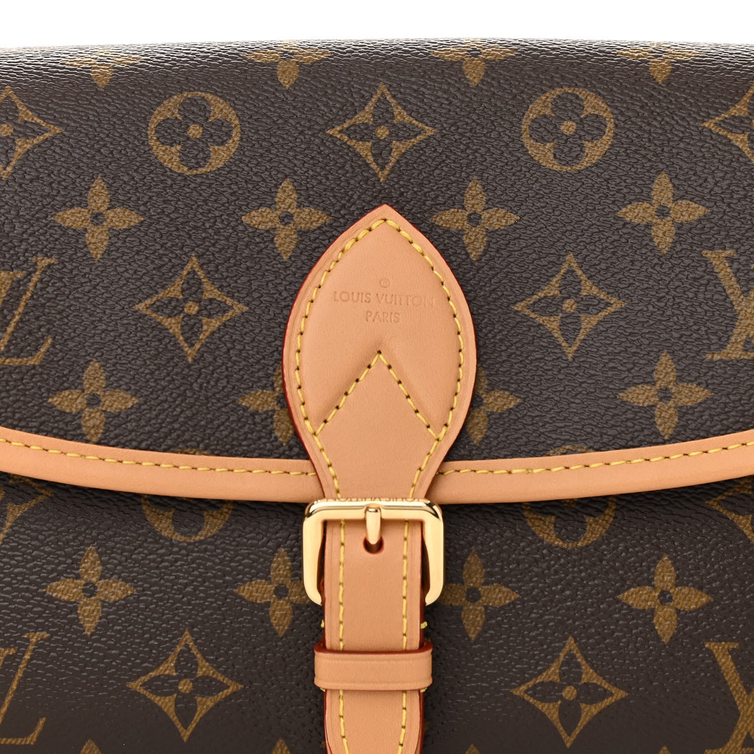 Louis Vuitton Monogram Diane Fuchsia 6 of 8