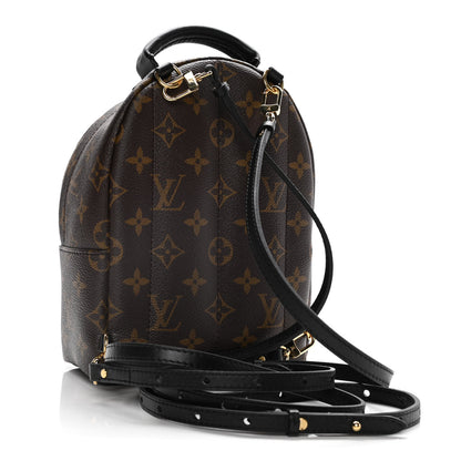 Louis Vuitton Monogram Palm Springs Backpack Mini 3 of 15