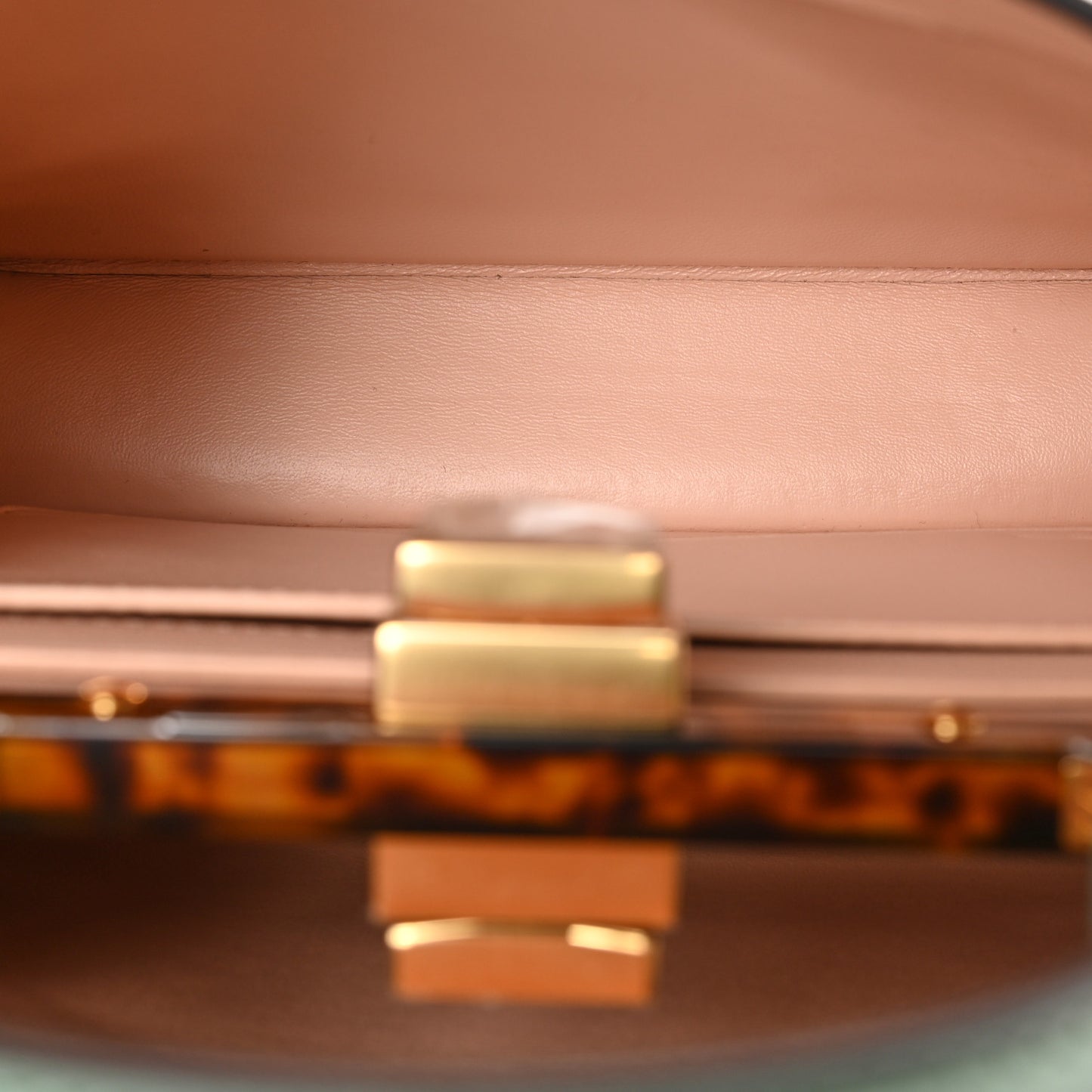 Vitello Seta Shiny Nappa Plexiglass Small Peekaboo I SEE U Satchel Menta Light Rose