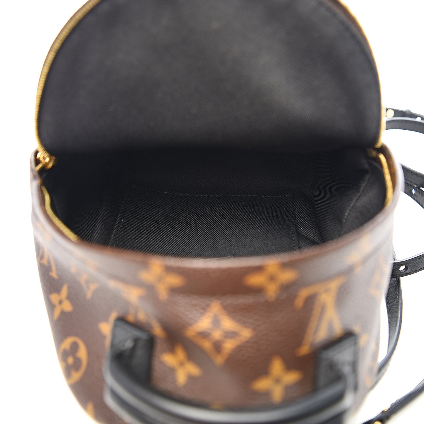 Monogram Palm Springs Backpack Mini