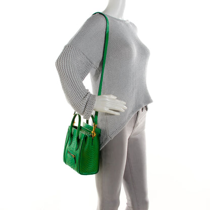 Celine Python Nano Luggage Grass Green 4 of 11
