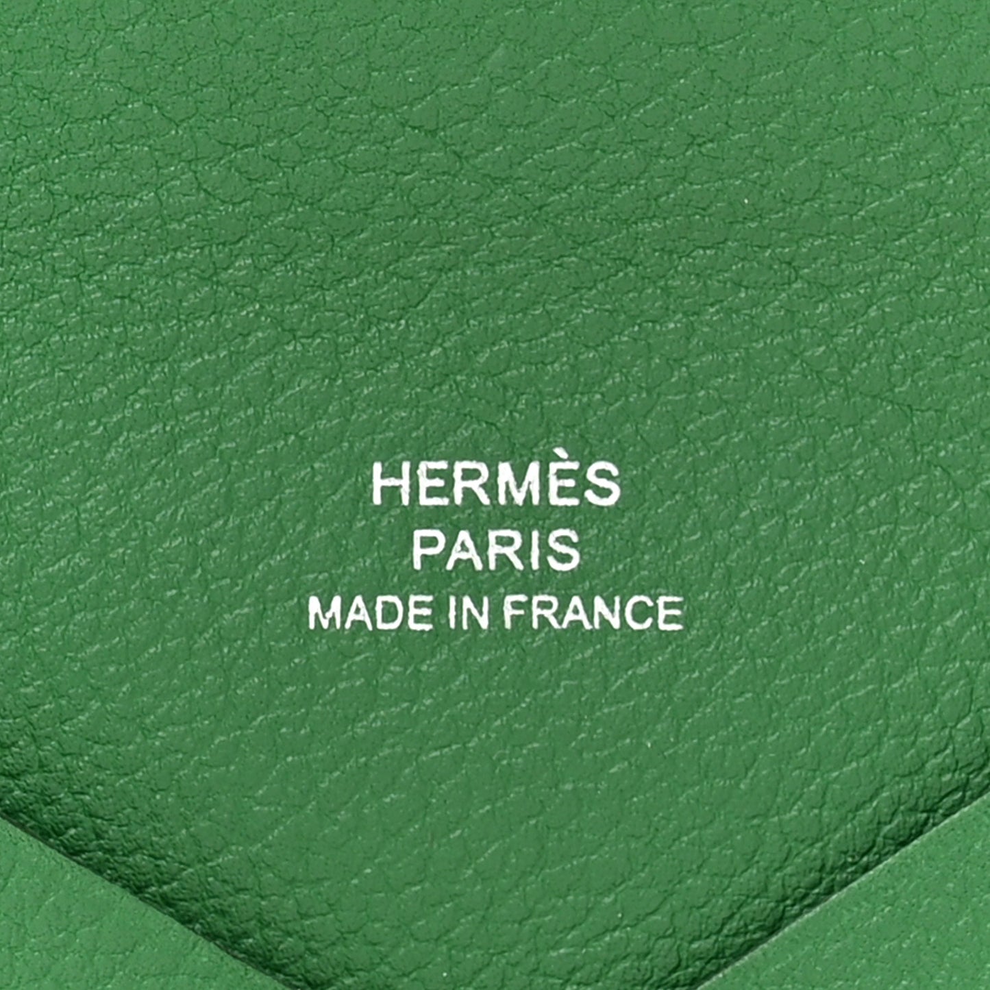 Evercolor Calvi Card Case Vert Vertigo