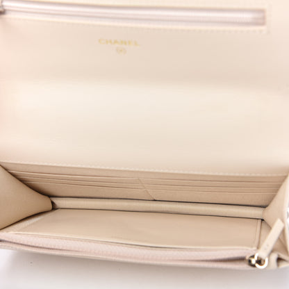 Chanel Goatskin Quilted Chanel 19 Wallet On Chain WOC Light Beige 5 of 12
