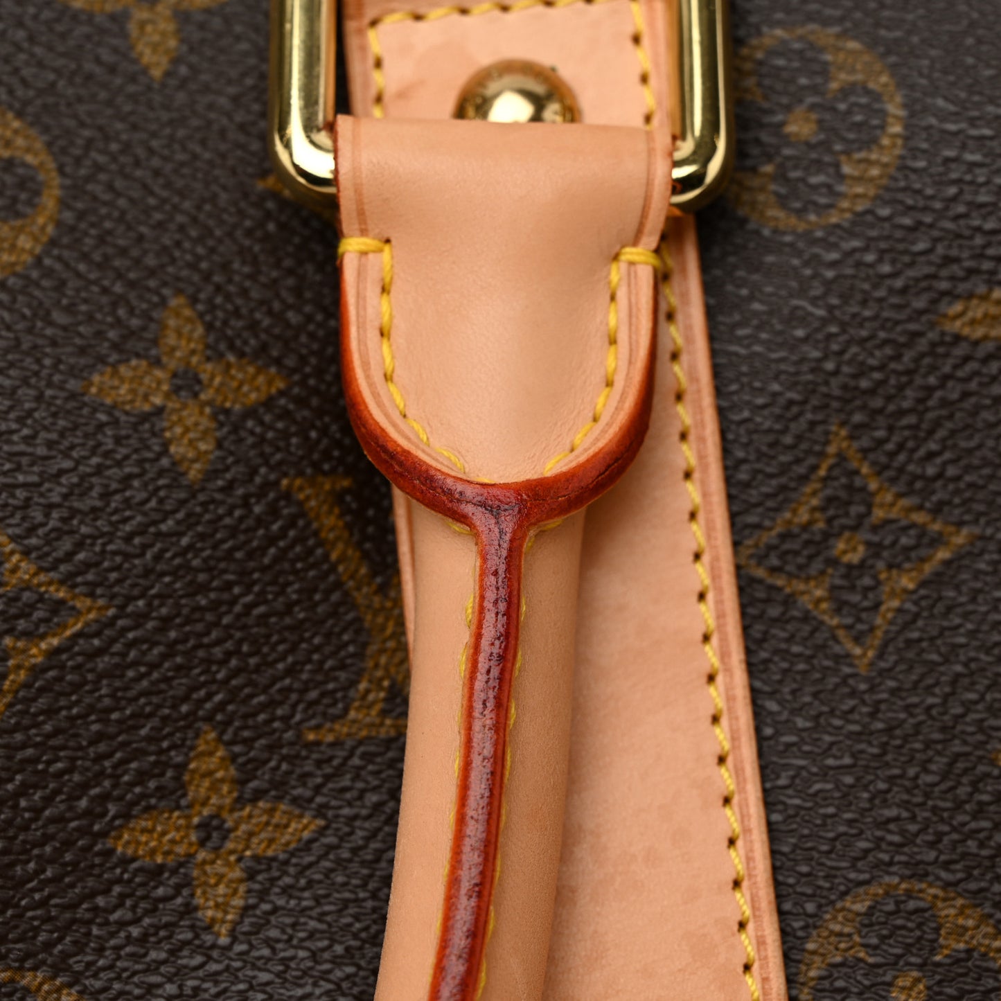 Monogram Carryall