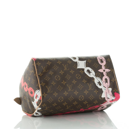 Louis Vuitton Monogram Bay Speedy 30 Rose Ballerine Poppy 4 of 7