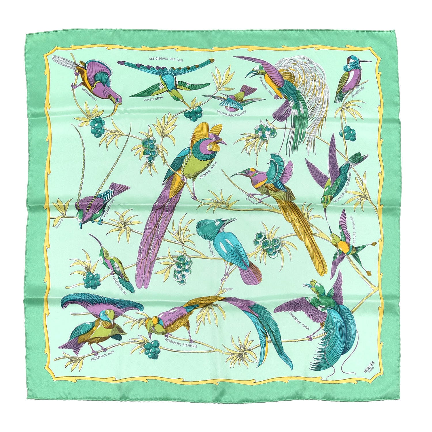 Hermes Silk Vintage Les Oiseaux Des Iles Scarf 70 Jade Jaune Violet 1 of 6