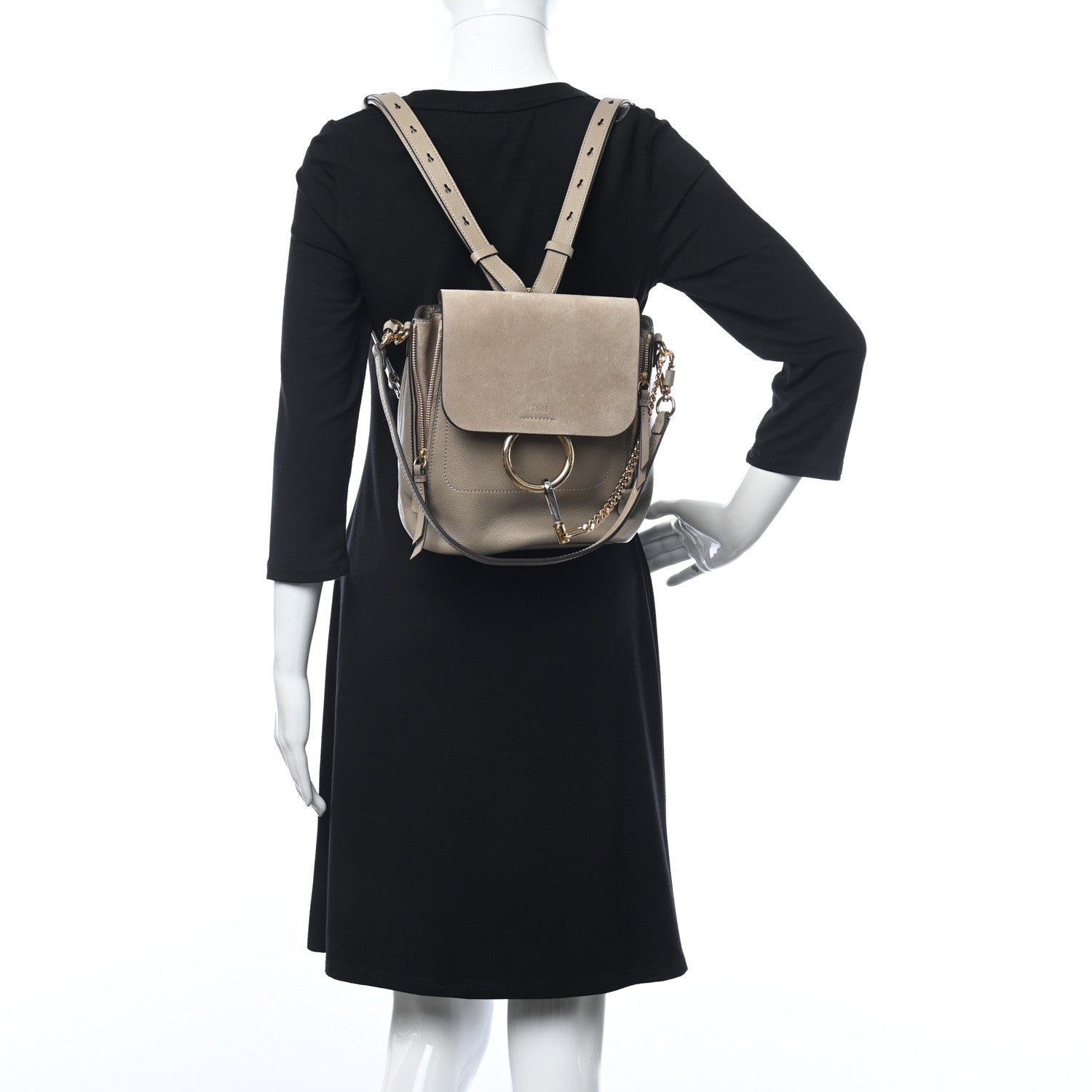 Chloe Suede Calfskin Small Faye Backpack Motty Grey 2 of 10