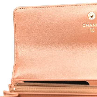 Chanel Lambskin Quilted Chanel 19 Flap Wallet Brown 13 of 21