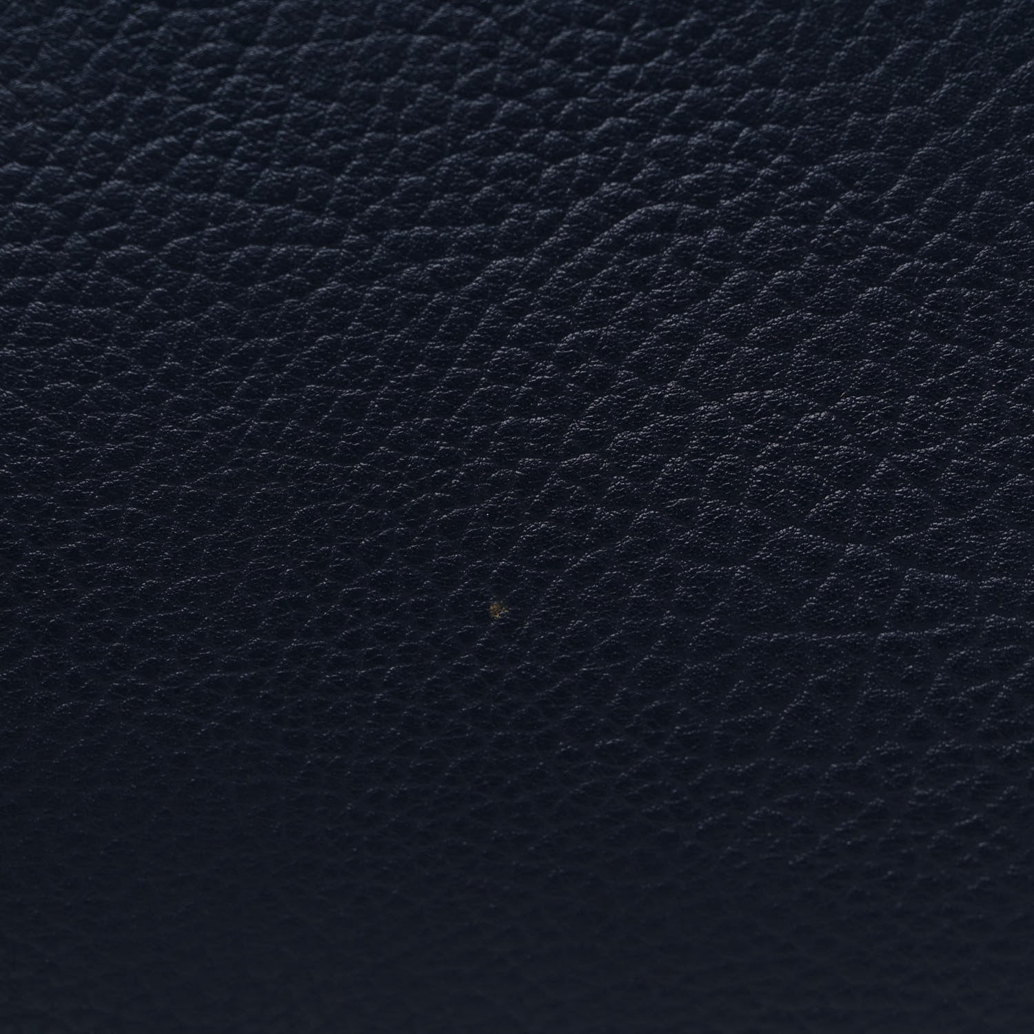Celine Bullhide Calfskin Medium Phantom Luggage Navy Blue 14 of 14