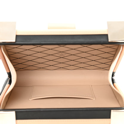 Louis Vuitton Calfskin Temple Petite Malle 5 of 10