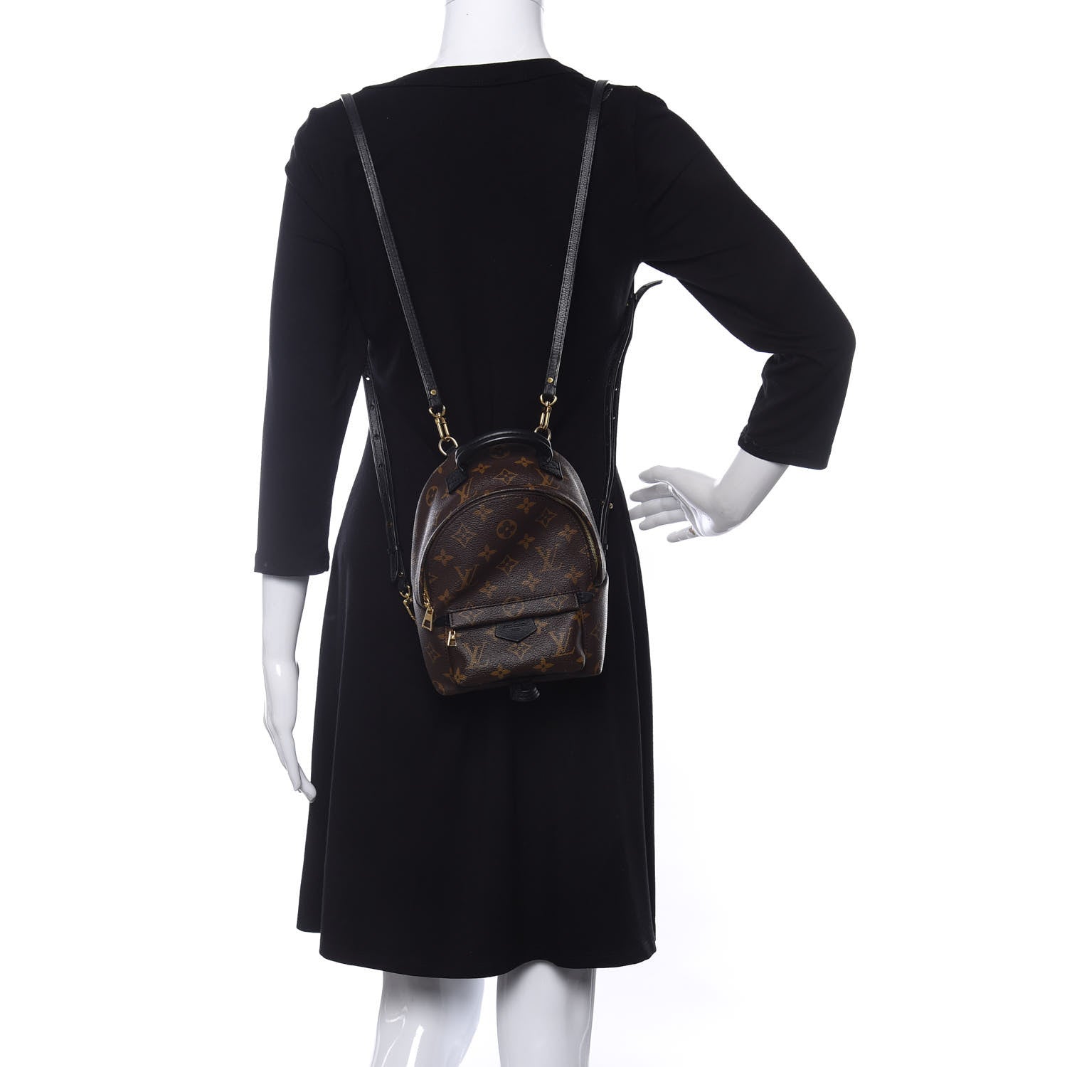 Louis Vuitton Monogram Palm Springs Backpack Mini 2 of 12