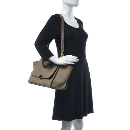 Celine Calfskin Suede Whipsnake Medium Trapeze Taupe 2 of 18