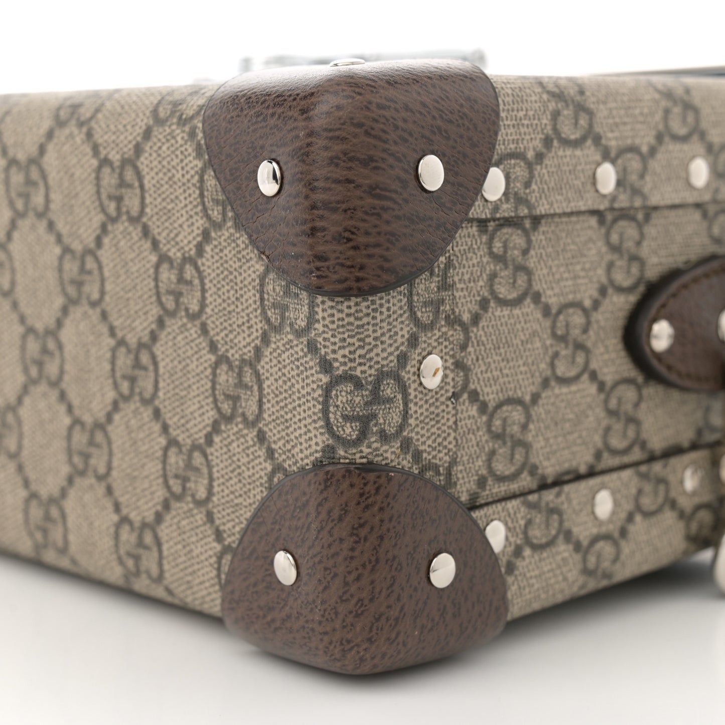 GG Supreme Monogram Globe-Trotter Beauty Case Brown