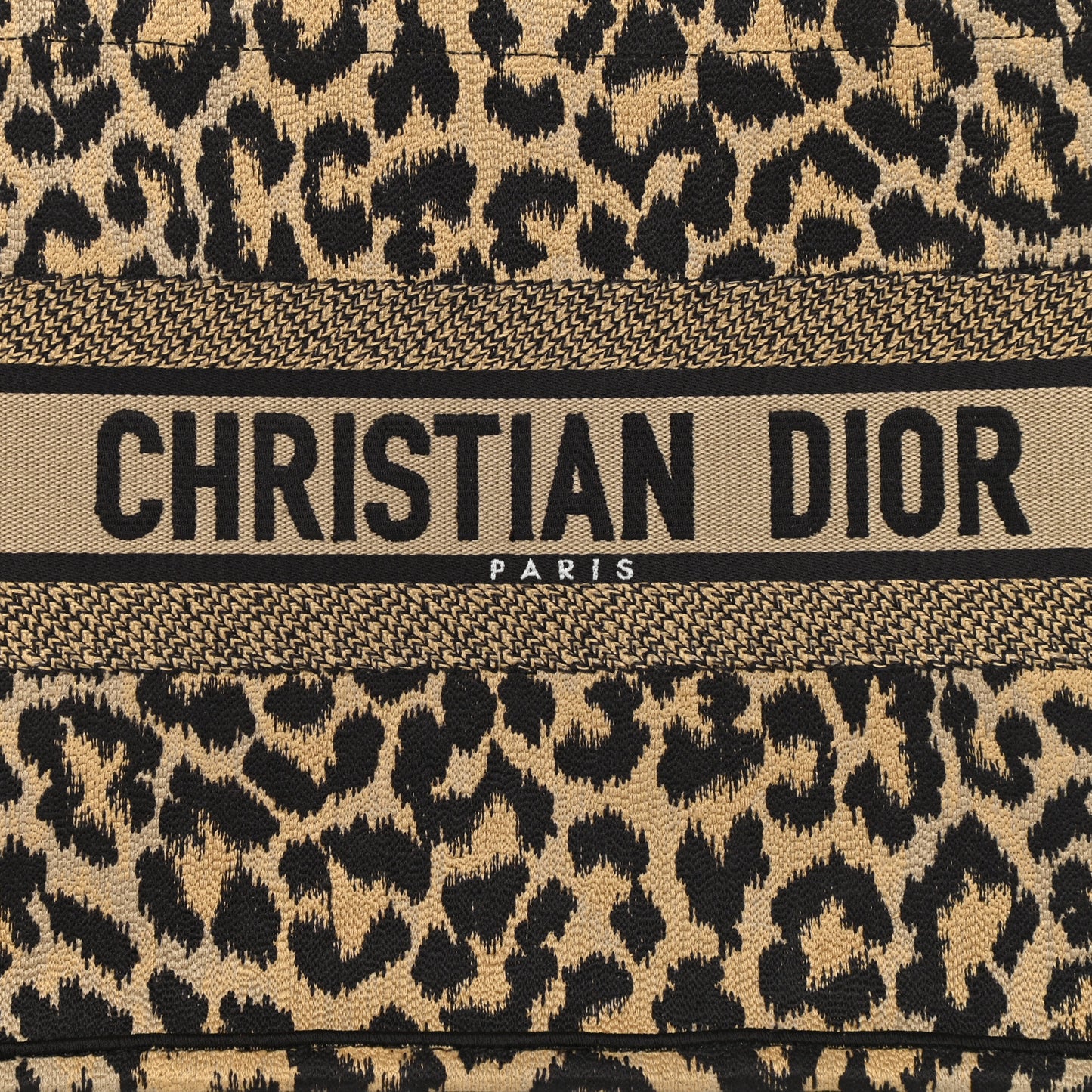 Canvas Mizza Embroidered Medium Leopard Book Tote Beige