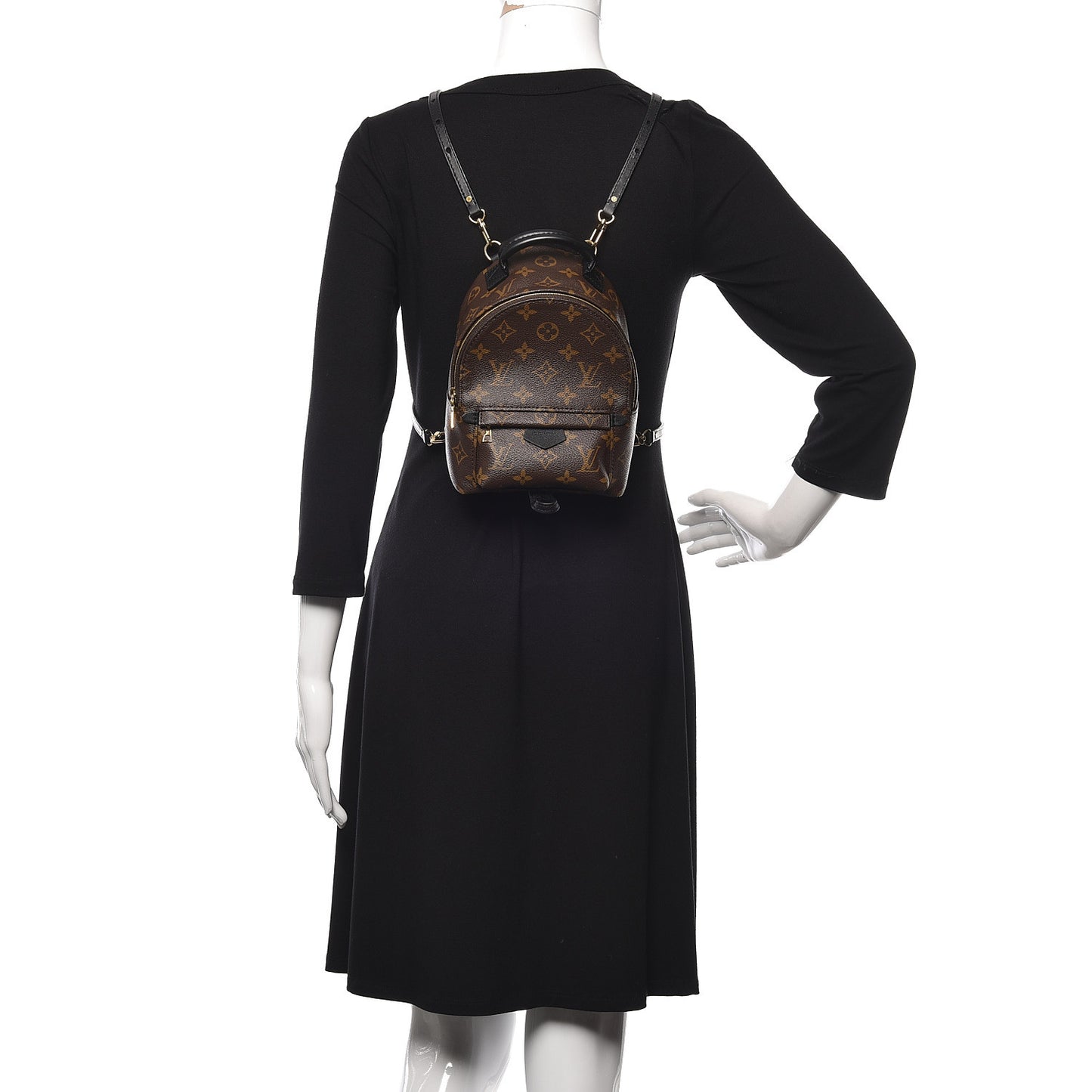Monogram Palm Springs Backpack Mini