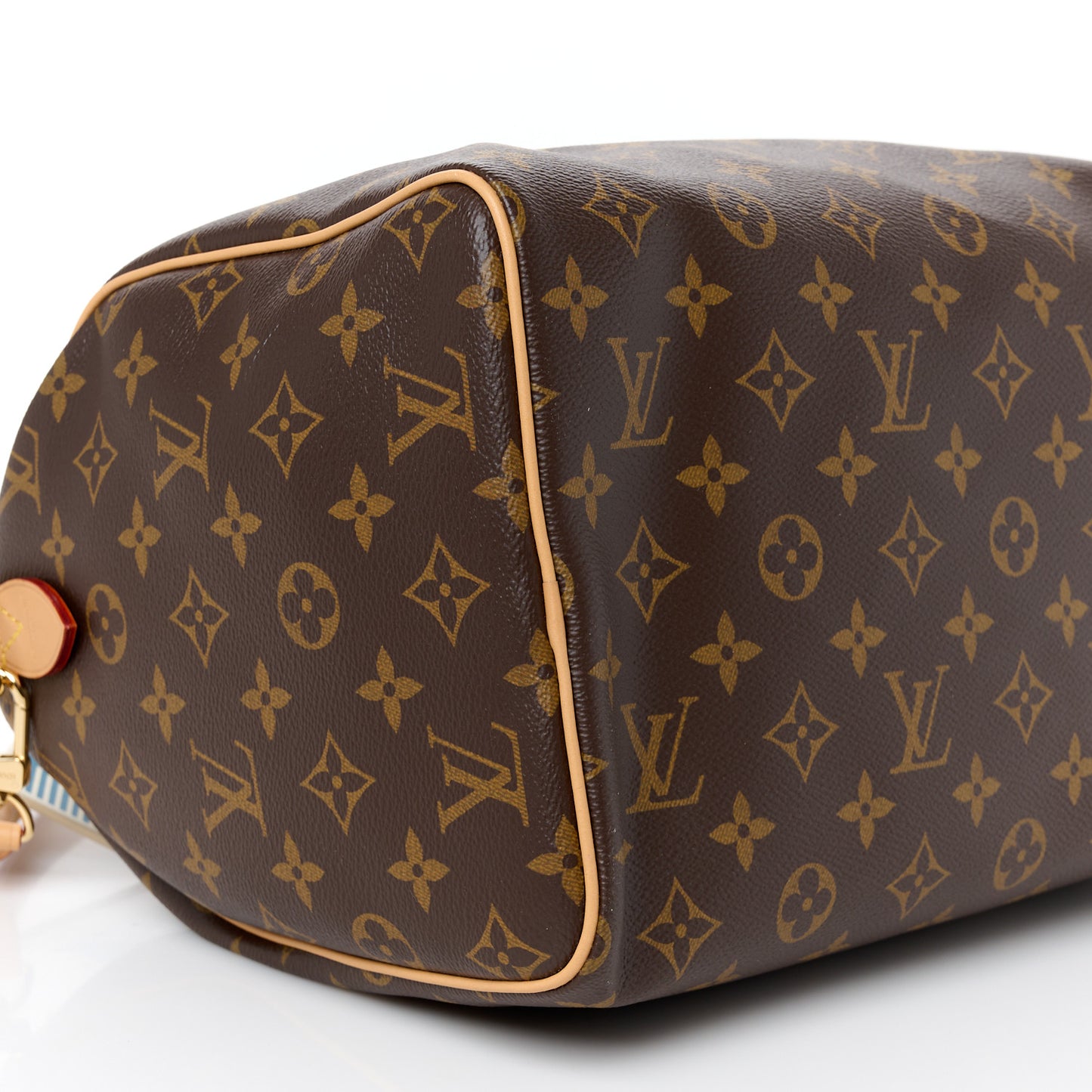 Monogram Speedy Soft Crafty 30