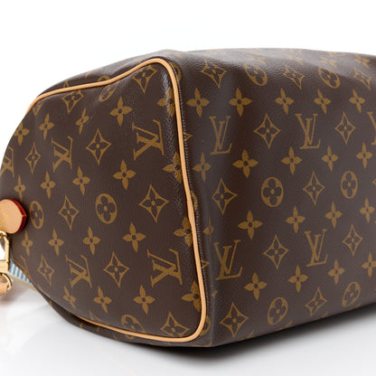 Louis Vuitton Monogram Speedy Soft Crafty 30 10 of 11