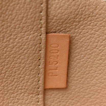 Louis Vuitton Monogram Nano Nice 7 of 9