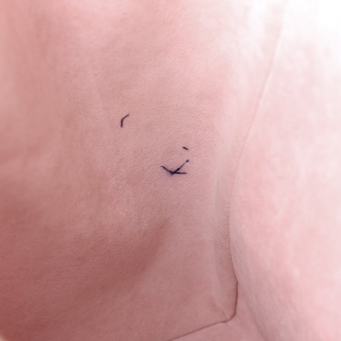 Damier Azur Propriano Rose Ballerine