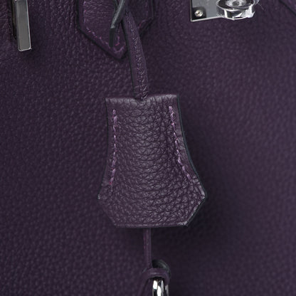 Hermes Togo Birkin 25 Raisin 32 of 34