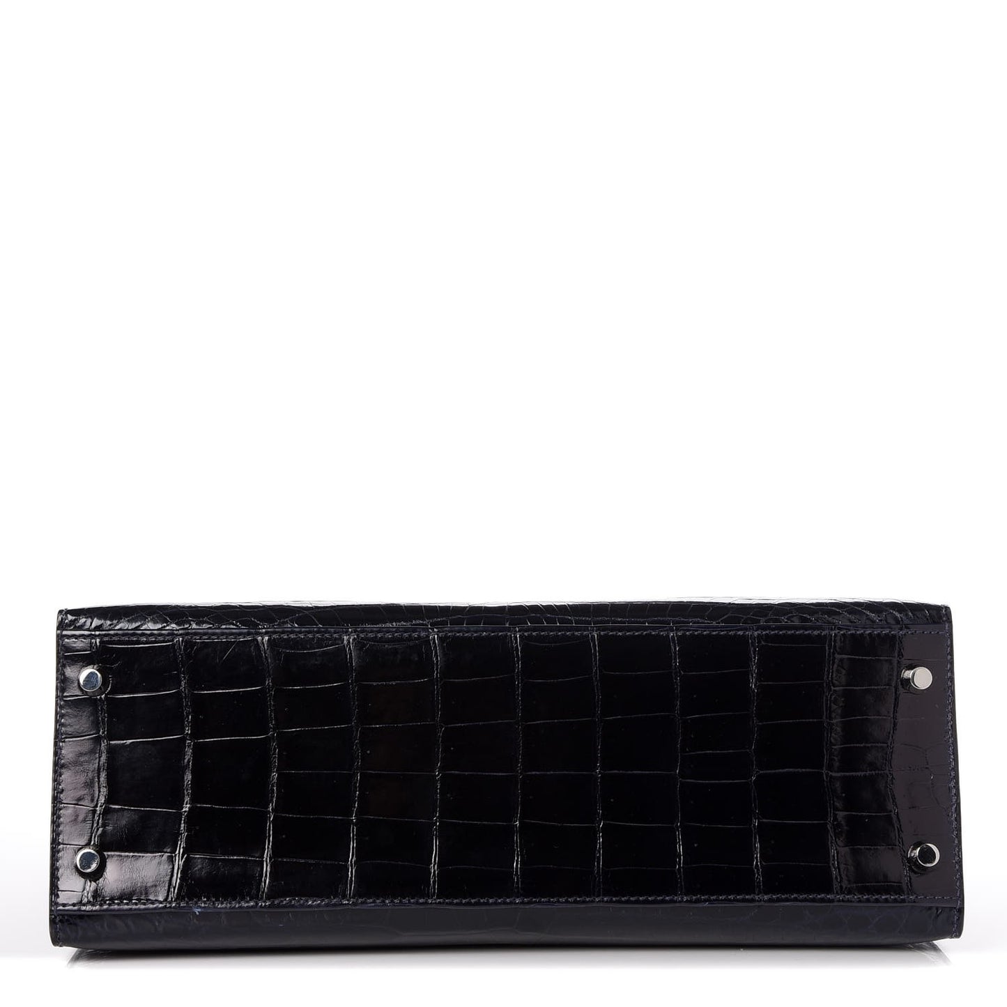 Shiny Niloticus Crocodile Kelly Sellier 32