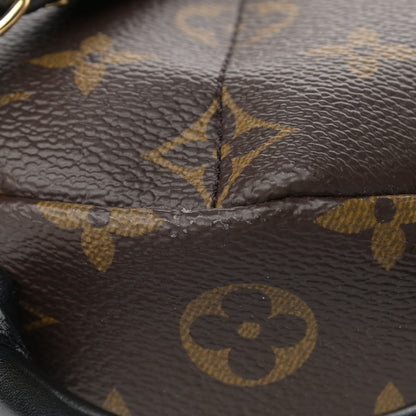 Louis Vuitton Monogram Palm Springs Backpack Mini 11 of 11