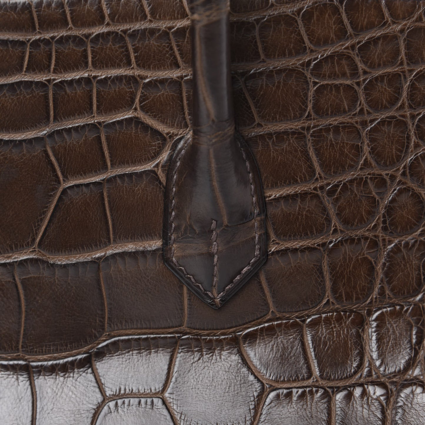 Matte Alligator Birkin 40 Chocolate
