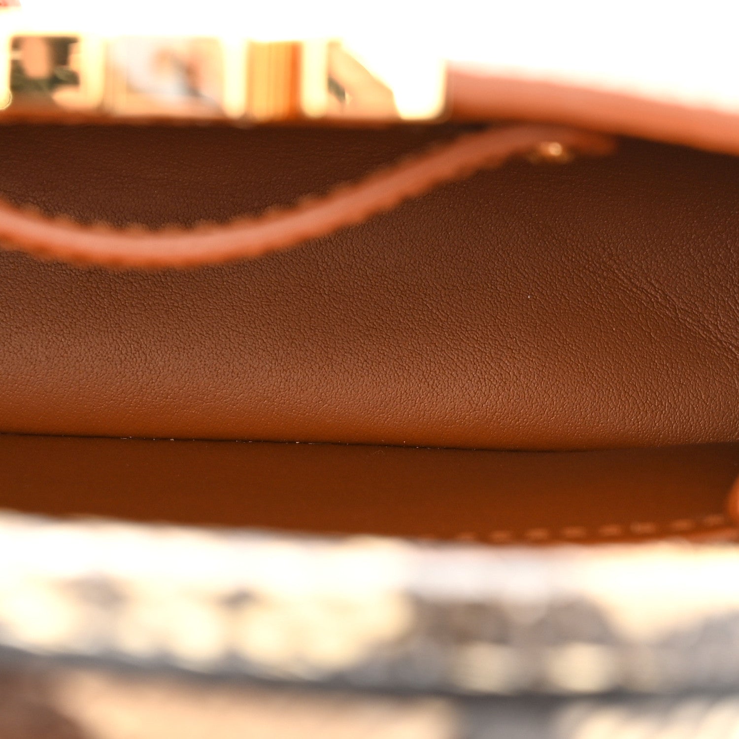 Louis Vuitton Taurillon Snakeskin Mini Capucines Caramel 5 of 16