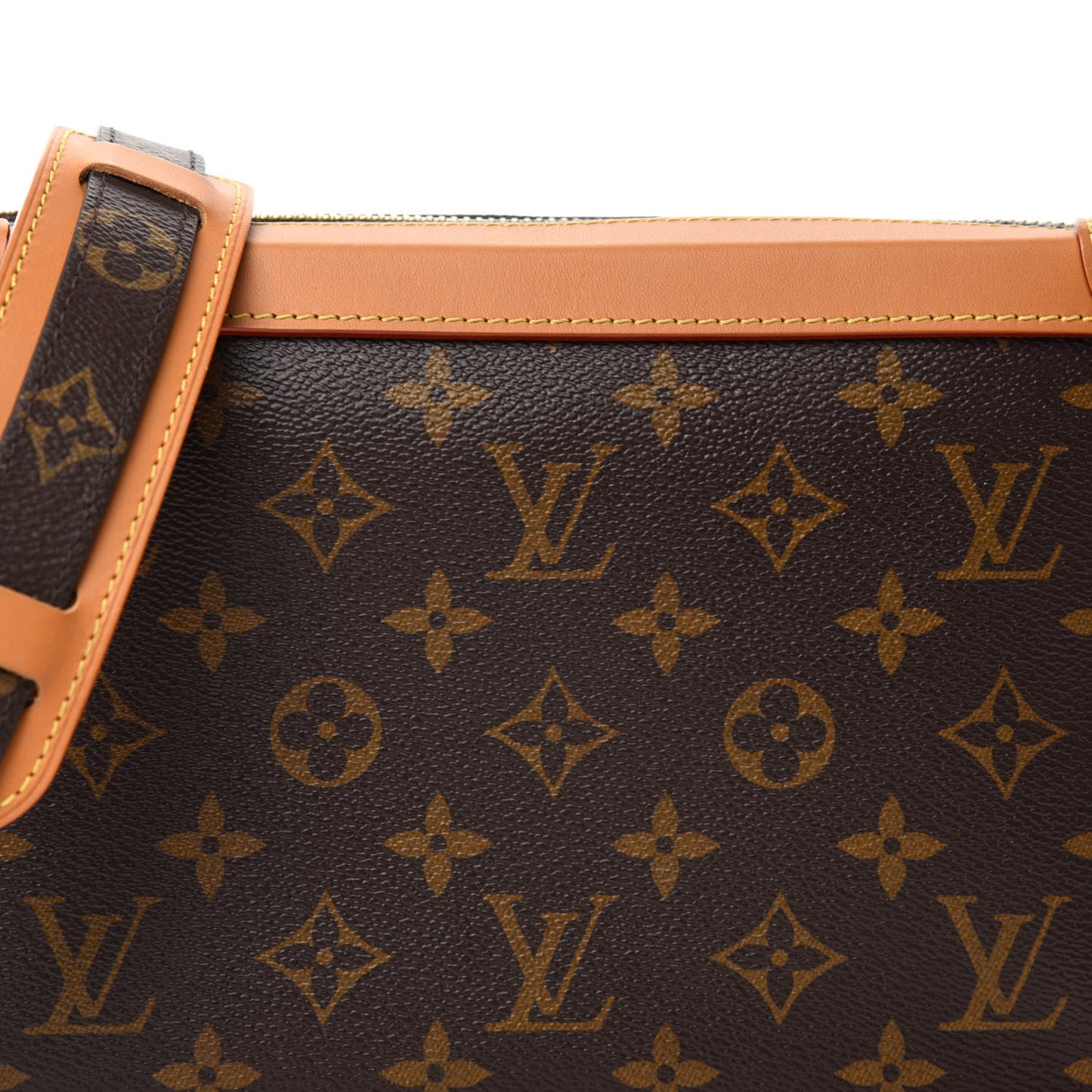 Monogram Soft Trunk
