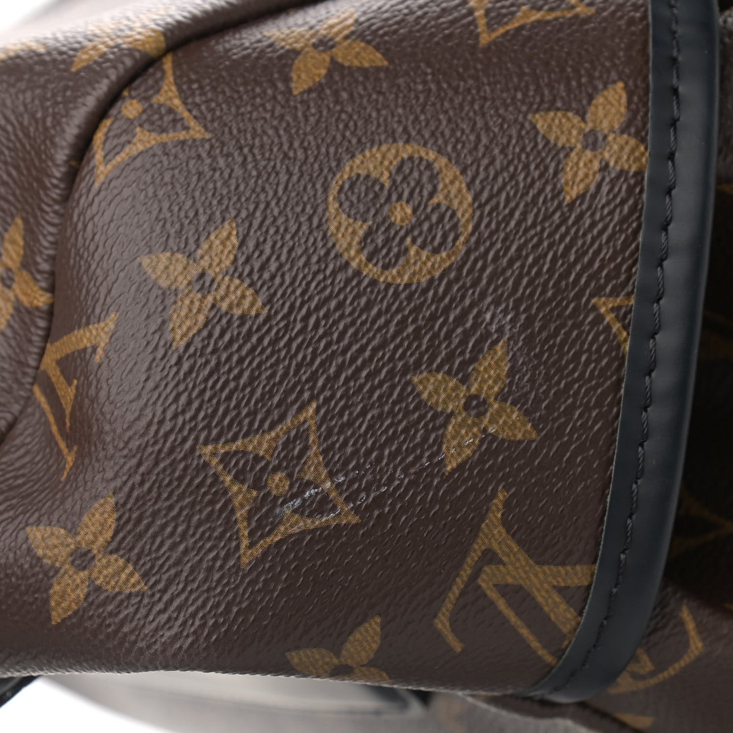 Monogram Macassar Zack Backpack