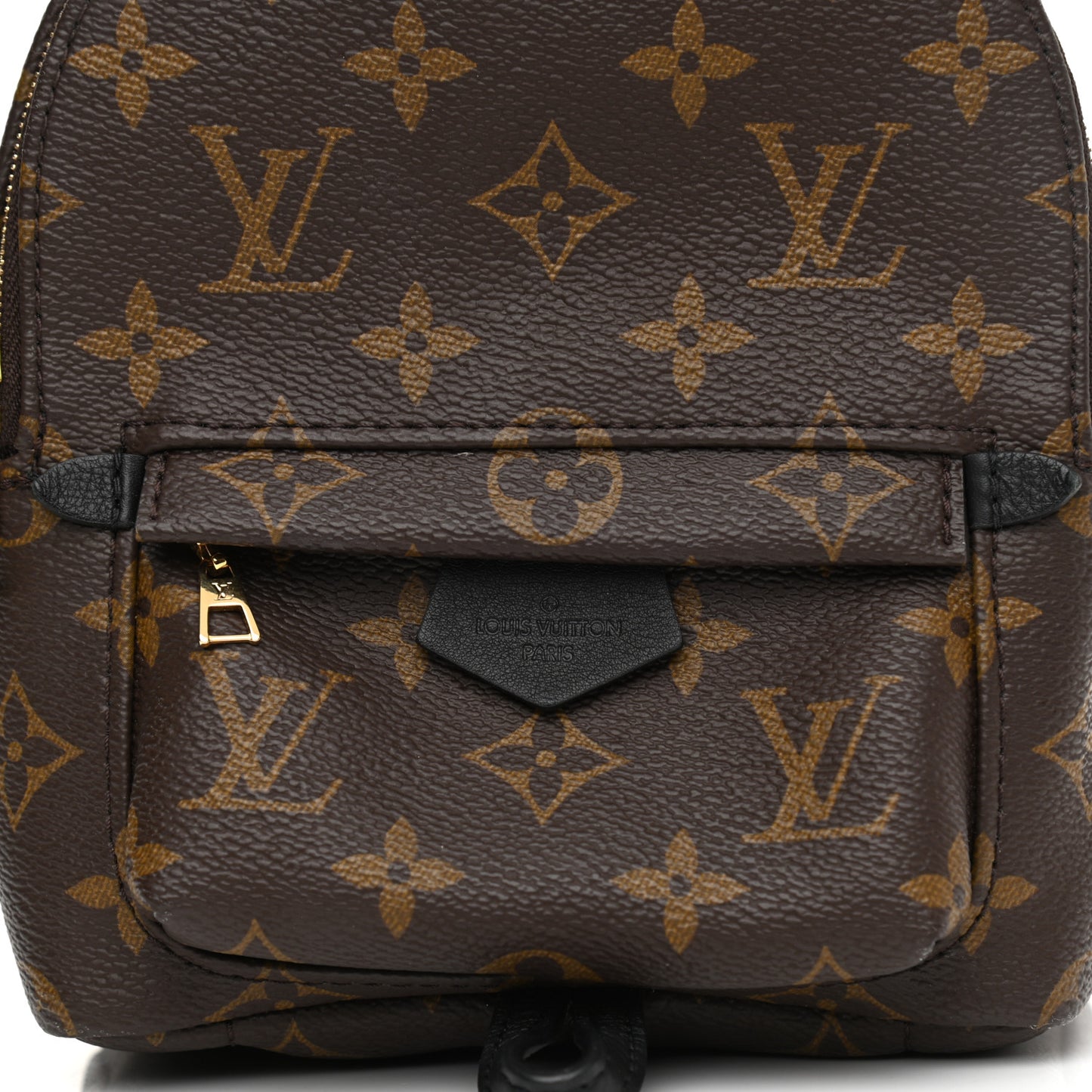 Monogram Palm Springs Backpack Mini