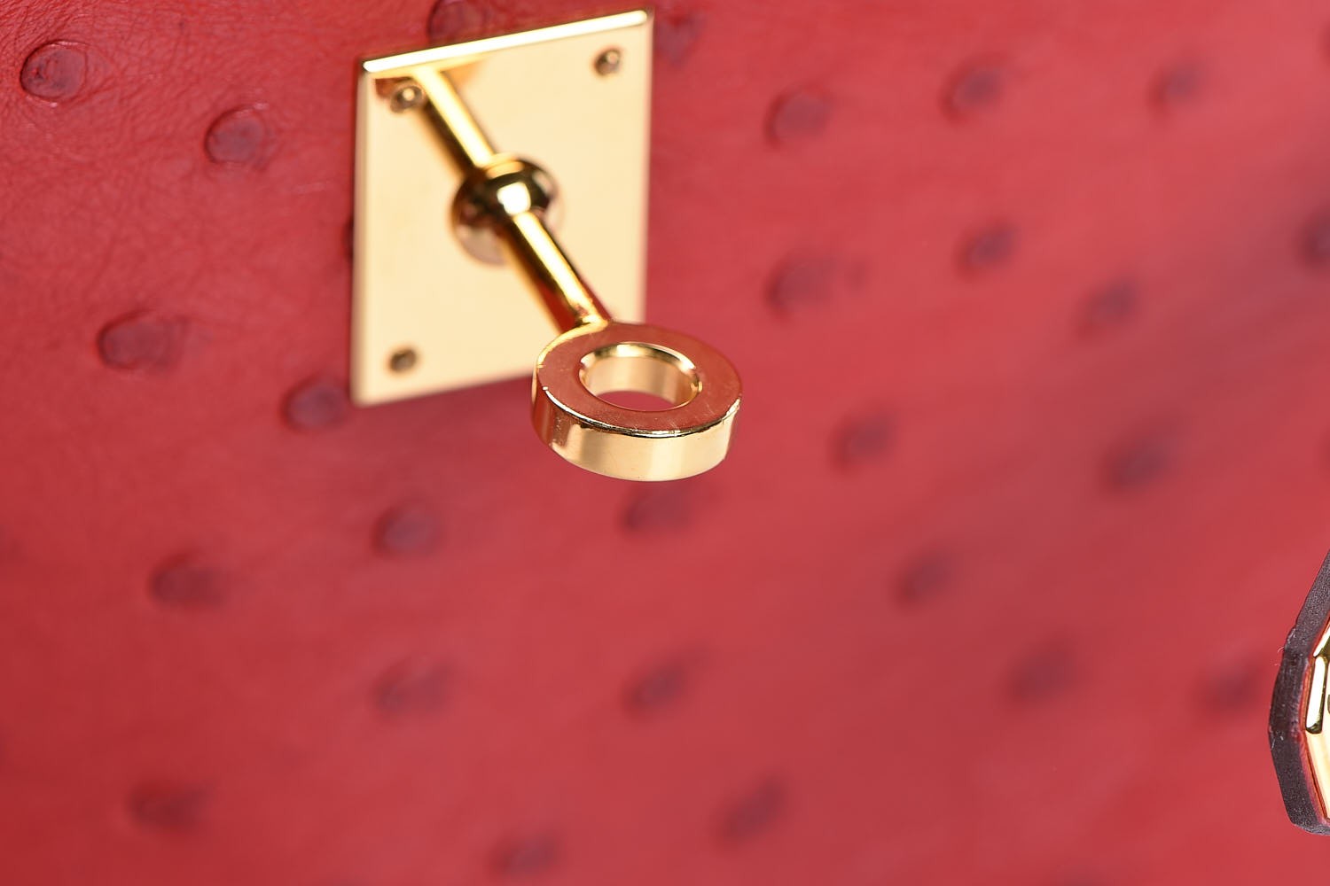 Hermes Ostrich Kelly Pochette Rouge Vif 32 of 35