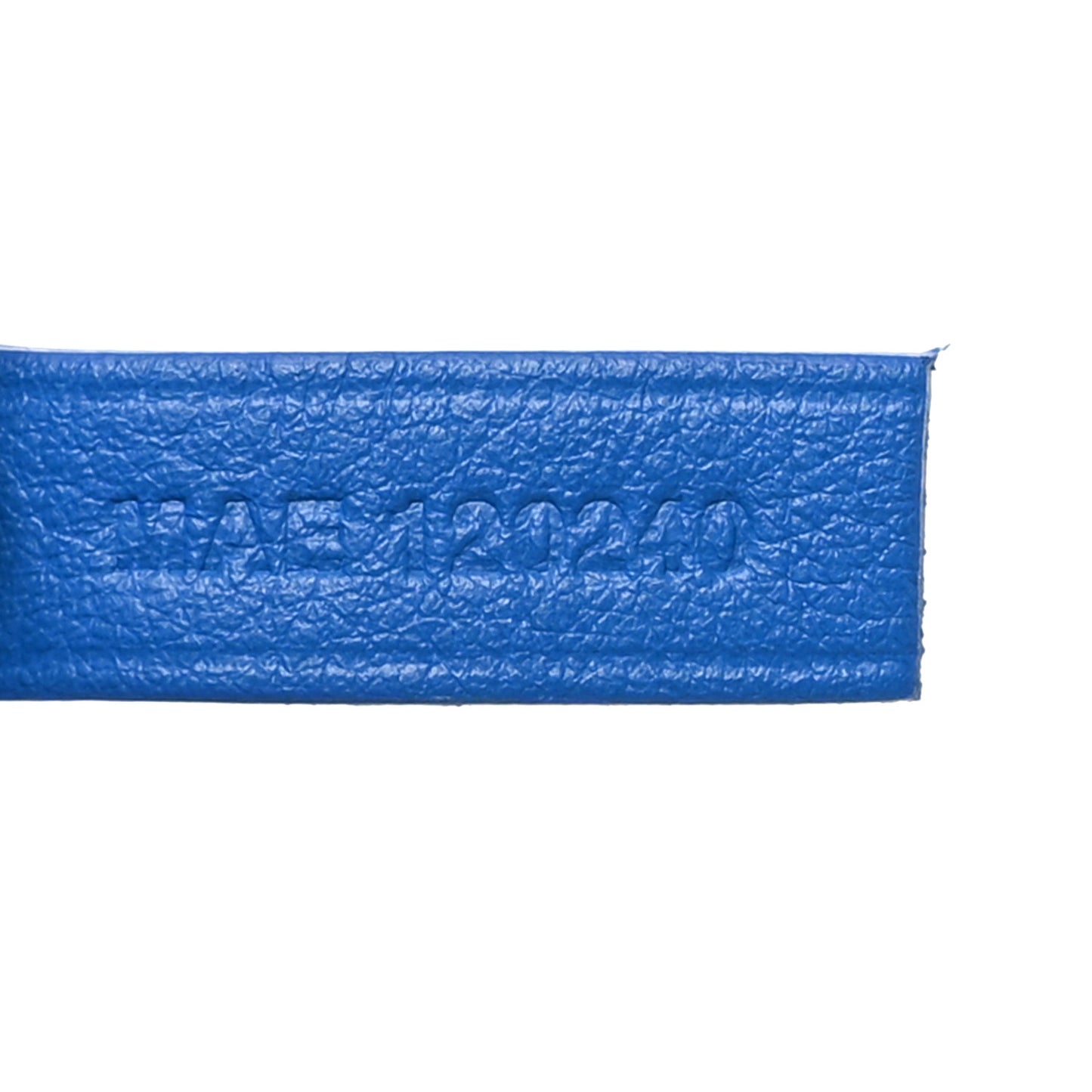 Goyardine Reversible Mini Anjou Sky Blue