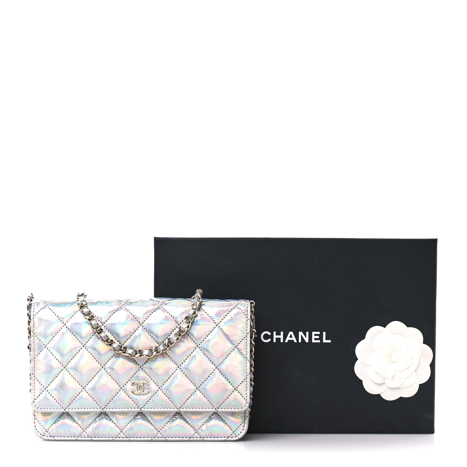 Chanel Iridescent Goatskin Quilted Wallet On Chain WOC Silver 12 of 12