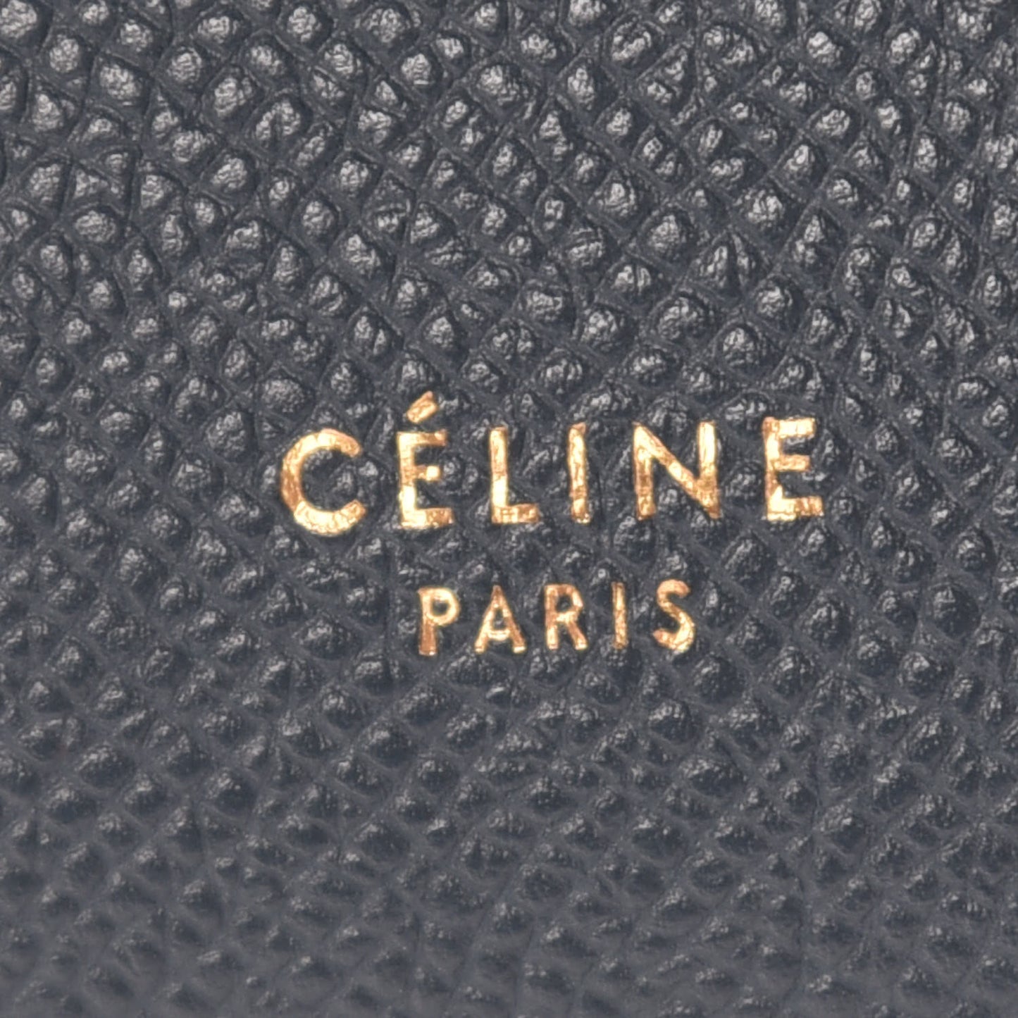 Grained Calfskin Nano Belt Bag Slate